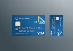 How to Apply for a Blue Visa Card and every detail about it