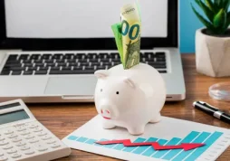 Descubrí las mejores estrategias para equilibrar tus inversiones en moneda local y dólares.